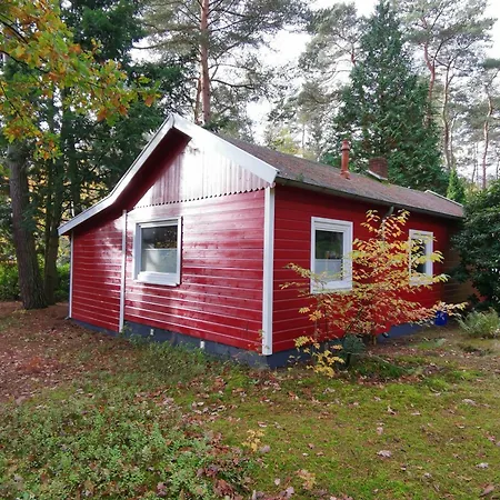 Holiday home Strandperle, Starweg 20 *
